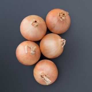 Oneida Onion Thumbnail